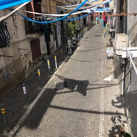 La Casa Di Ludovica Lägenhet